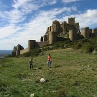 Aragon