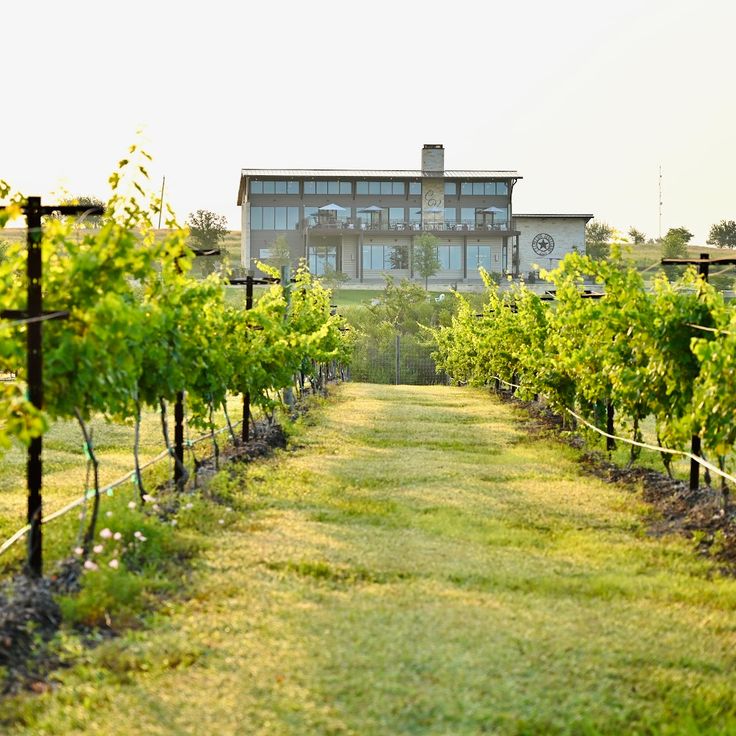Vinícola Chapel Creek