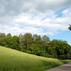 Eichenwald bei Rindelbach