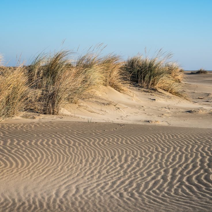 Strand von Espiguette