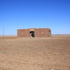 Mesquite