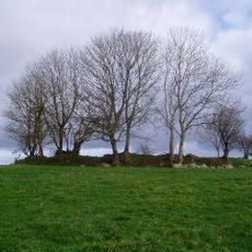 Cabragh Ringfort