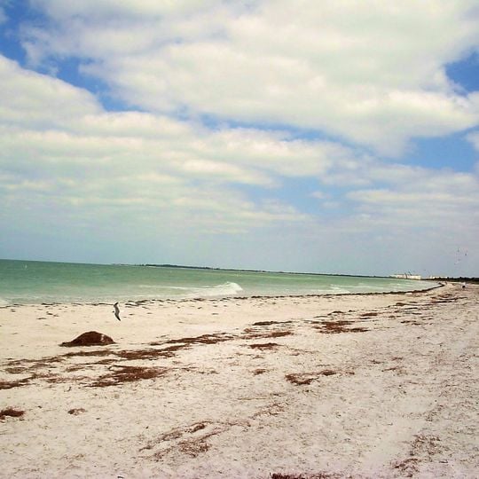 Parc d'État Caladesi Island