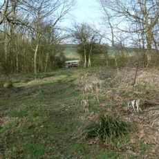Owston Woods