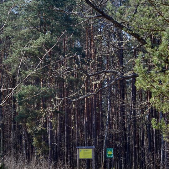 Sosnyna-1 nature monument