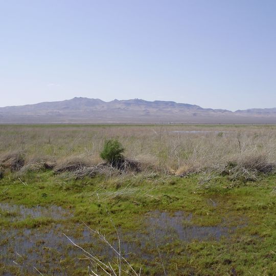 Humboldt Salt Marsh