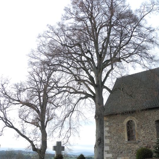 Esche und Linde an der Kirche Fürstenberg