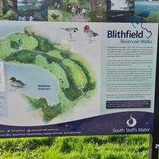 Blithfield Reservoir Walks
