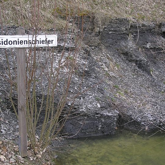 Argiles à Posidonies