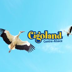 Cigoland