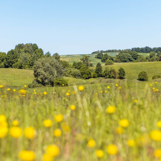 Drawsko Landscape Park