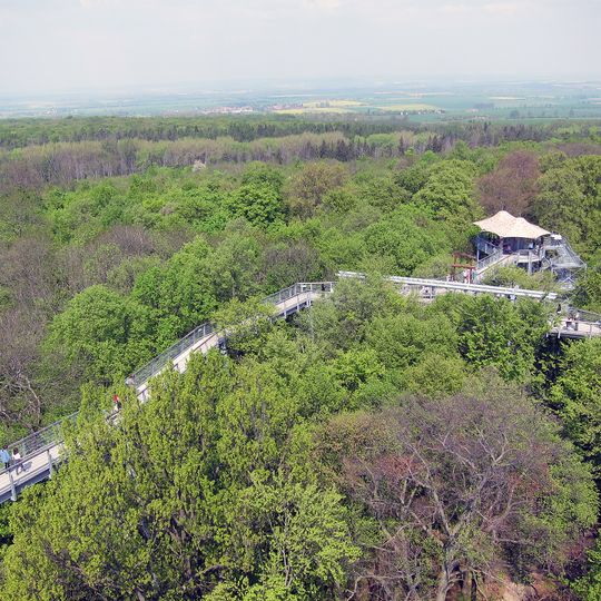 Hainich