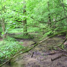 Landschaftsschutzpark Görzberg-Lautenburg