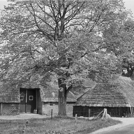 Boerderij onder rieten schilddak met onderschoer en een streek eigen schuur onder rieten schilddak met in een van de lange zijden een dakkapel-vormig uitgebouwde inrit