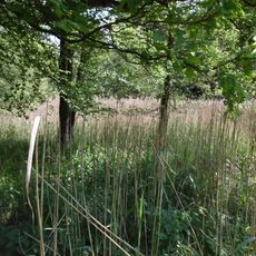 Naßwiesen Lierenfeld