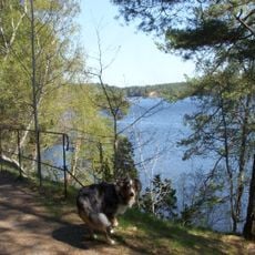 Långsjön