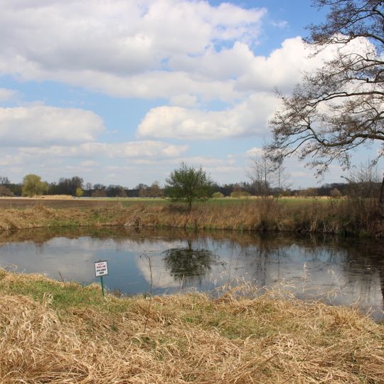 Velká Arazimova tůň