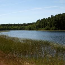 Bory Tucholskie National Park