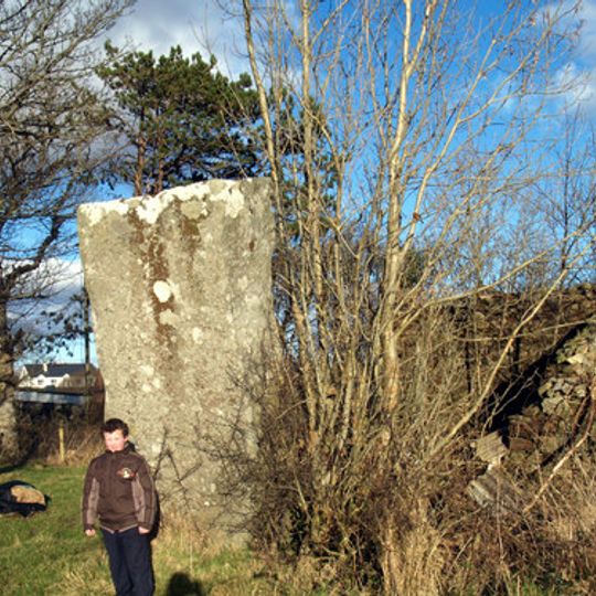 Menhir von Owenea