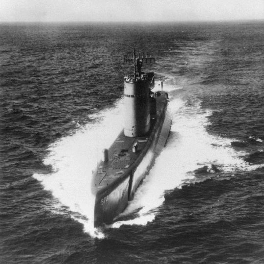 USS Salmon