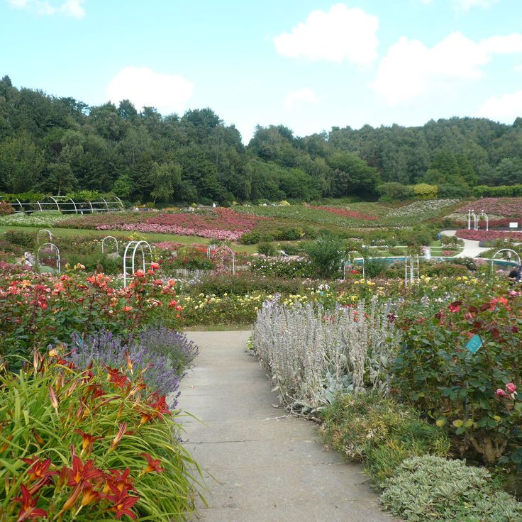 Parco della Collina degli Uccelli