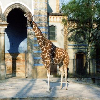 Jardin zoologique de Berlin