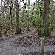 Big Wood and Little Wood