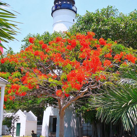 Key West lighthouse