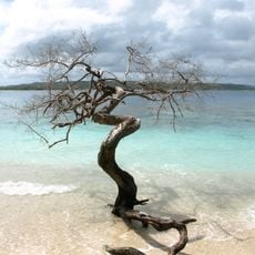 San Esteban National Park