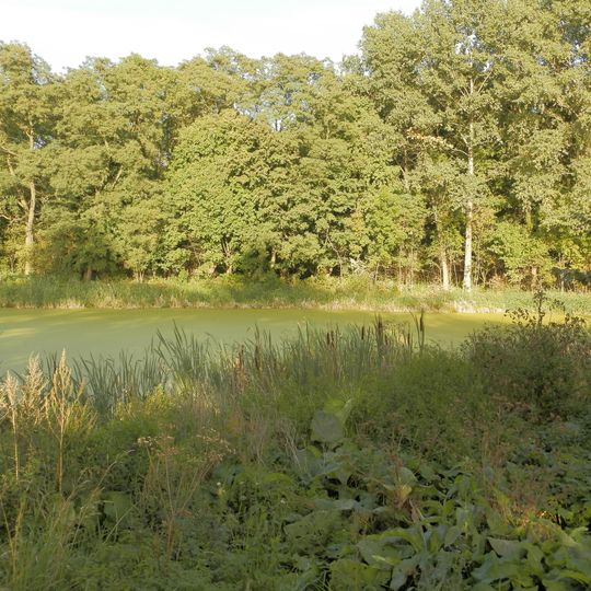 Park w Bierzwiennej Długiej, XIX/XX