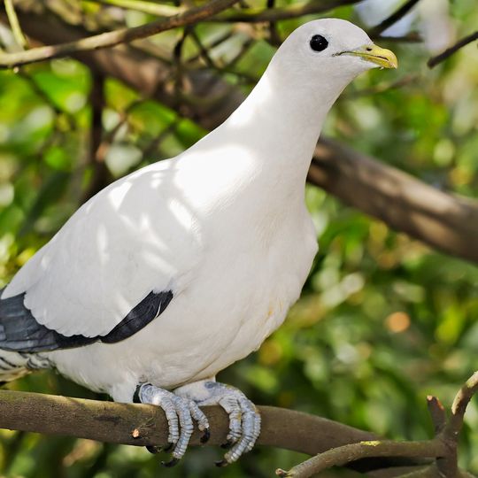 Parque nacional Cabo Palmerston