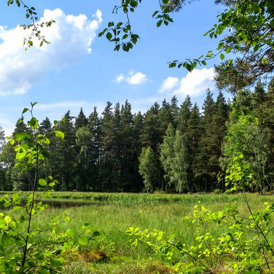 Pennewitzer Teiche - Unteres Wohlrosetal