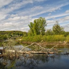 Regional landscape park "Dykans`kyi"