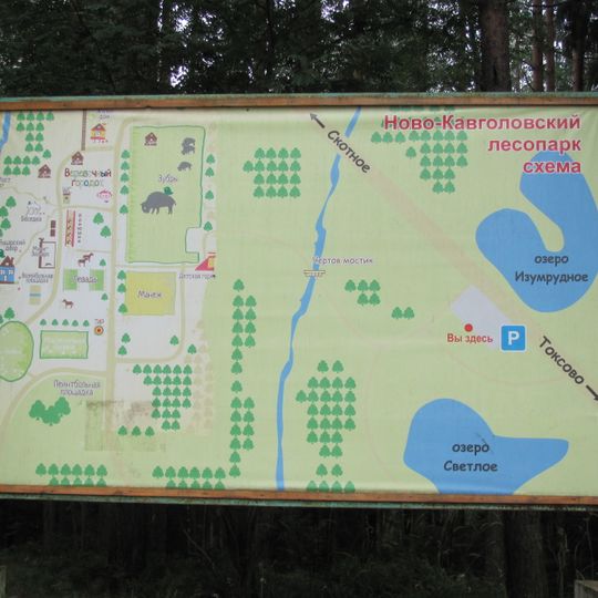 Novo-Kavgolovsky Forest Park