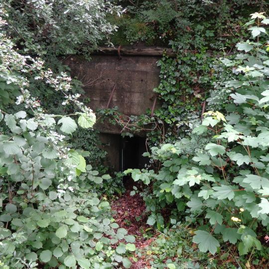 Fort Hoofddijk: Groepsschuilplaats type P