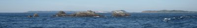 Panoramaudsigt 1