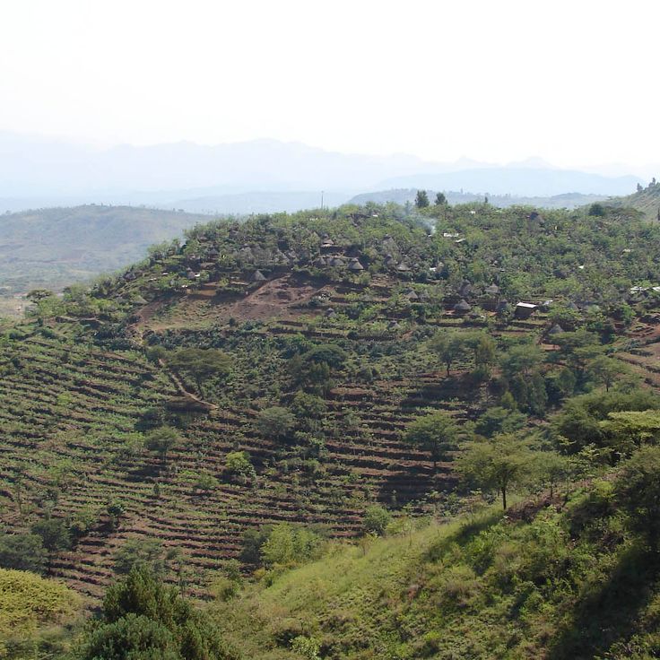 Paisaje Cultural Konso