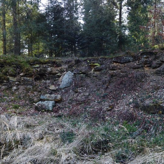 Heidegelände und alte Steinbruchwand