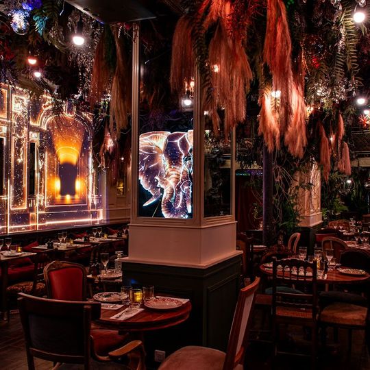 Jungle Palace Restaurant