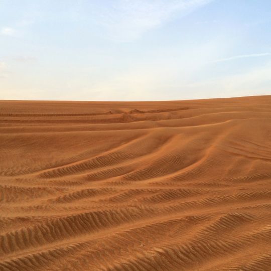 Arabian Desert