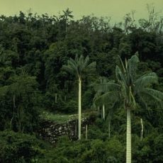 Parque Nacional Cutervo