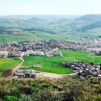 Ferdjioua