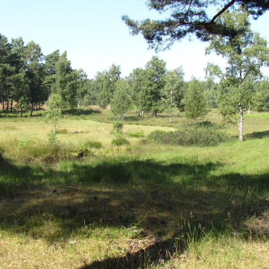 Teverener Heide