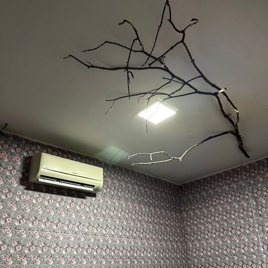 Escape Room