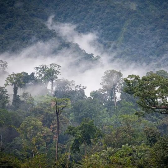 Minkébé National Park