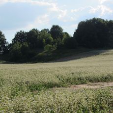 Дудичи (городище)