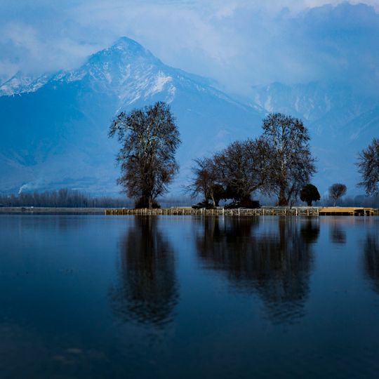 Char Chinar