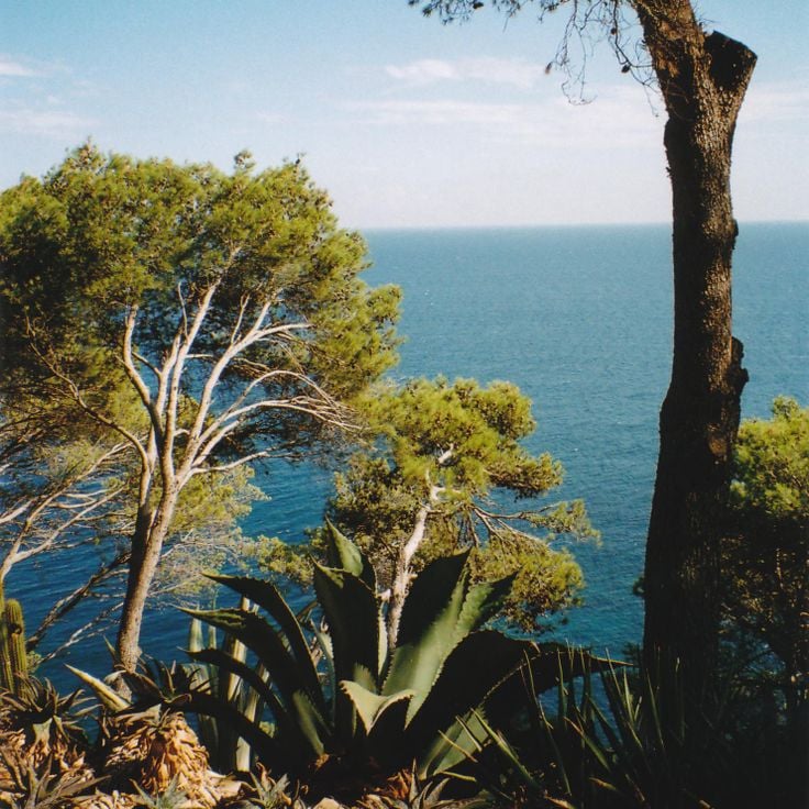Cap Roig Botanical Gardens