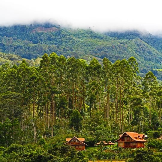 Reserva Comunal Yanesha