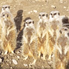 Tilgate Nature Centre